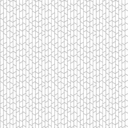 Angle Wallpaper - Black / White - Boråstapeter - 4738 - Premier Wallcovering