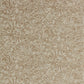 Anthology Ammonite Wallpaper - Sandstone - EANW112561 - Harlequin - Premier Wallcovering