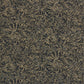 Anthology Ammonite Wallpaper - Charcoal/Brass - EANW112562 - Harlequin - Premier Wallcovering