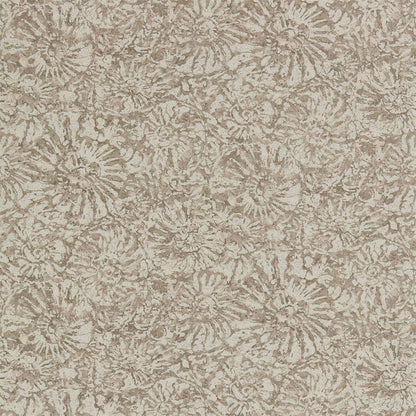 Anthology Ammonite Wallpaper - Shell - Harlequin - EANW112564
