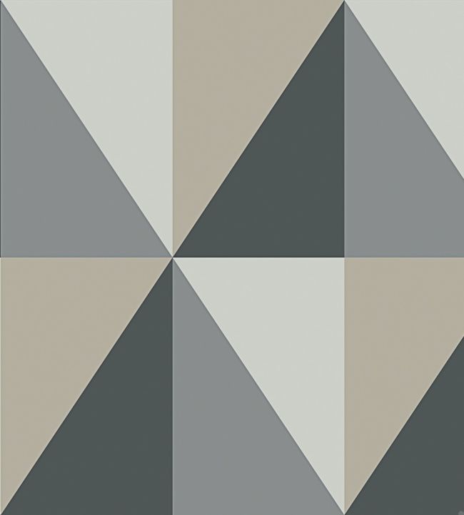Apex Grand Wallpaper - Grey, Charcoal & Metallic Gilver - 105/10043 - Cole & Son - Premier Wallcovering