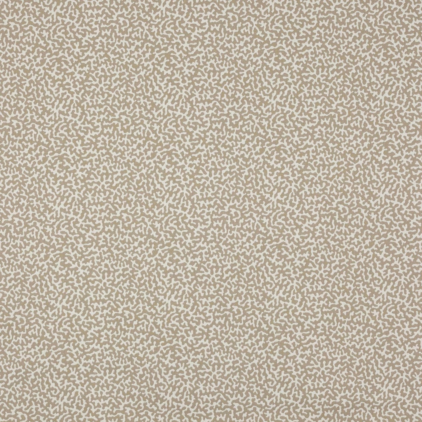 Apolline Fabric - Pierre - Manuel Canovas - M4091-11 - Premier Wallcovering