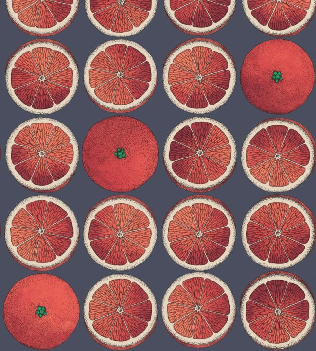 Arance Wallpaper - Blood Orange & Ink - 114/24046 - Cole & Son - Premier Wallcovering