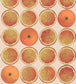 Arance Wallpaper - Orange & Cream - 114/24047 - Cole & Son - Premier Wallcovering
