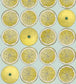Arance Wallpaper - Lemon & Seafoam - 114/24048 - Cole & Son - Premier Wallcovering