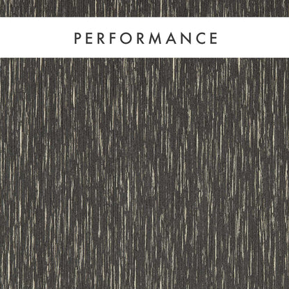 Asper Wallpaper - Charcoal/Gilver - Clarke & Clarke - W0205/01 - Premier Wallcovering