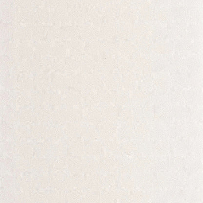 Asterios Solaris Wallpaper - Blanc Craie - Casadeco - 201880028 - Premier Wallcovering