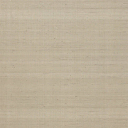 Astral Wallpaper - Stone - J158W - 02 - Jane Churchill