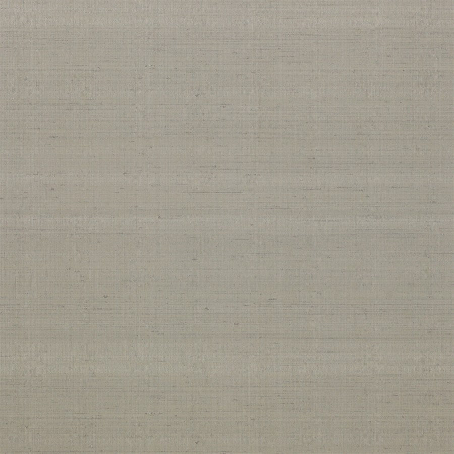 Astral Wallpaper - Silver - J158W - 05 - Jane Churchill