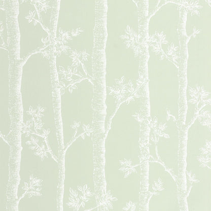 Automne Wallpaper - Vert D'eau - Caselio - 106127075