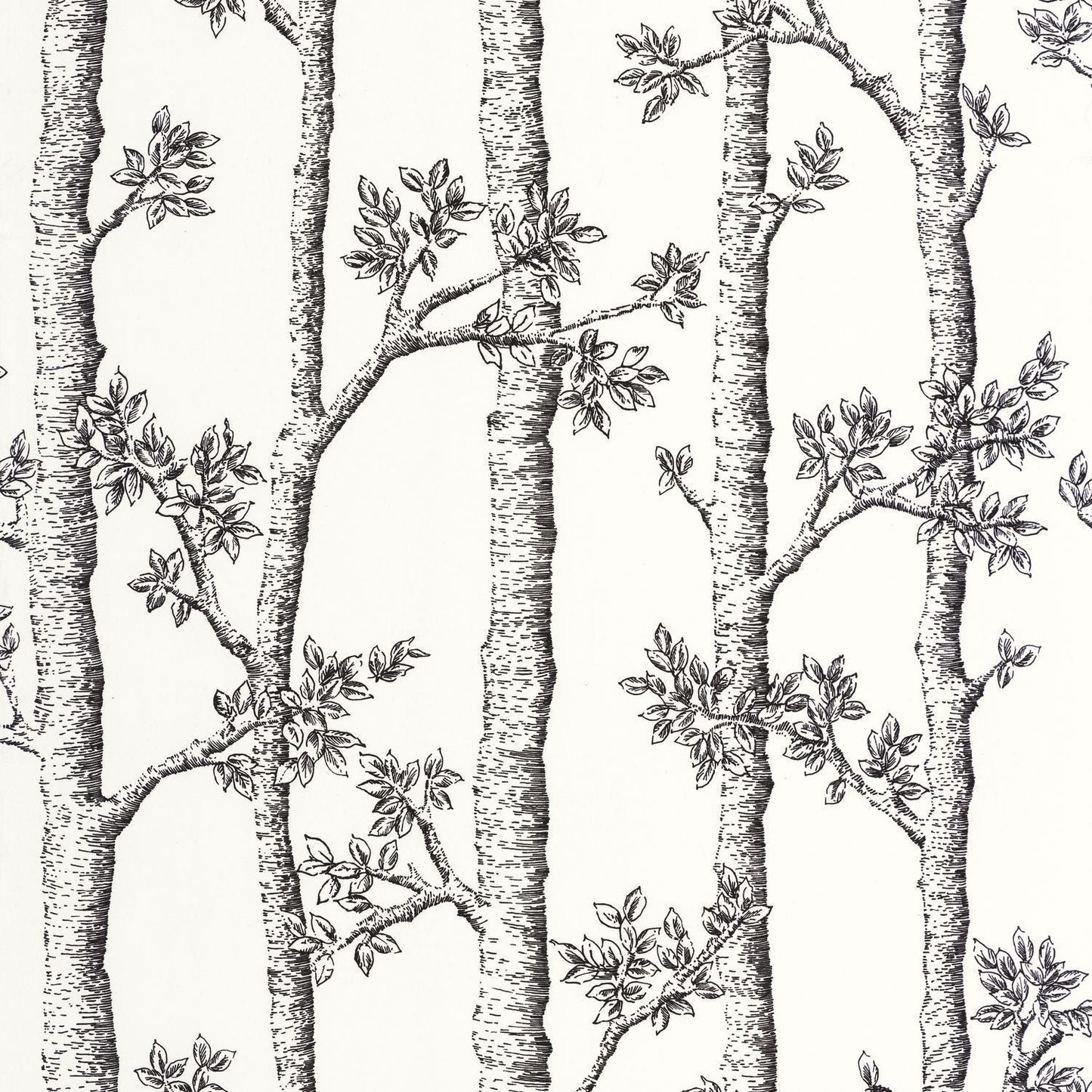 Automne Wallpaper - Blanc - Caselio - 106120000