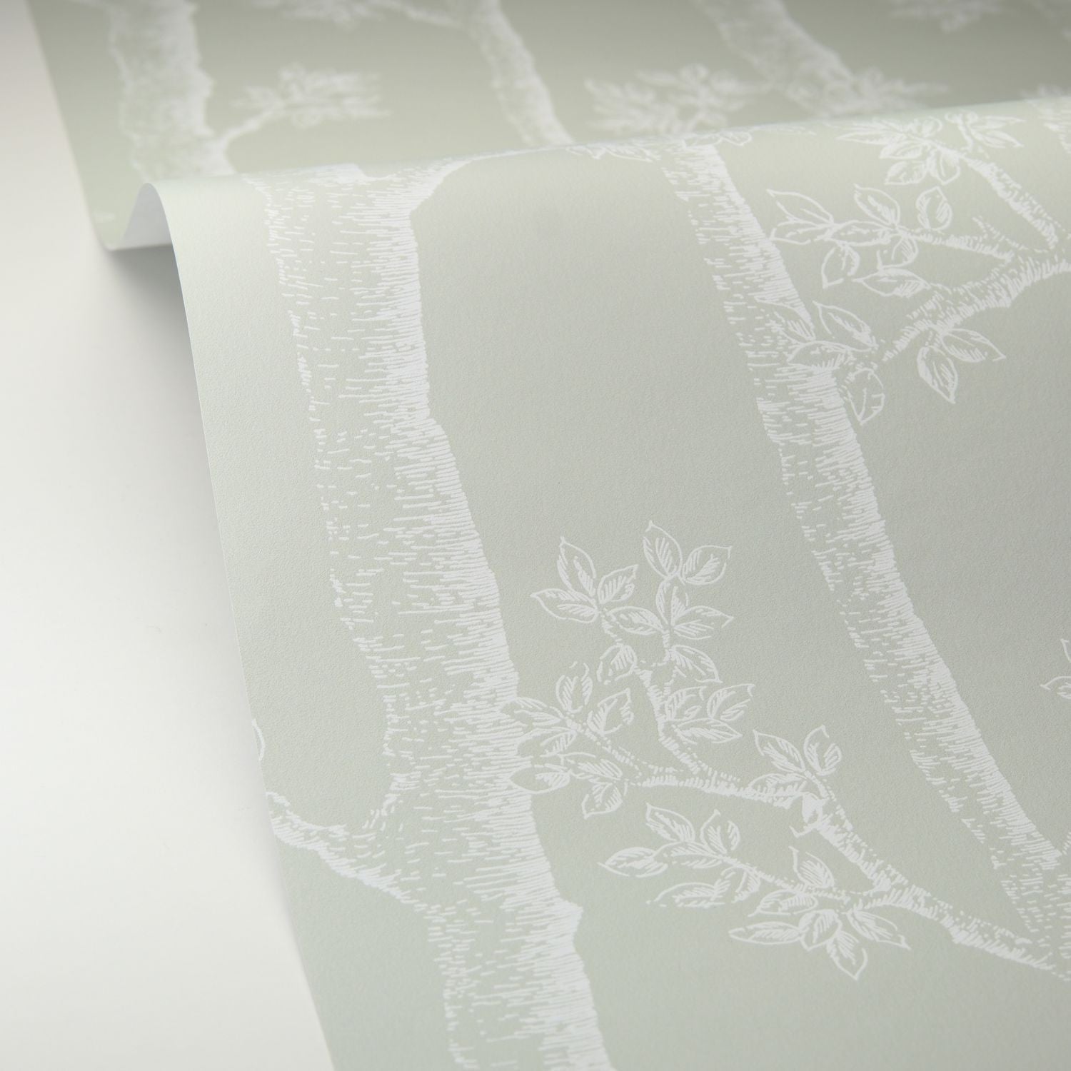 Automne Wallpaper - Vert D'eau - Caselio - 106127075