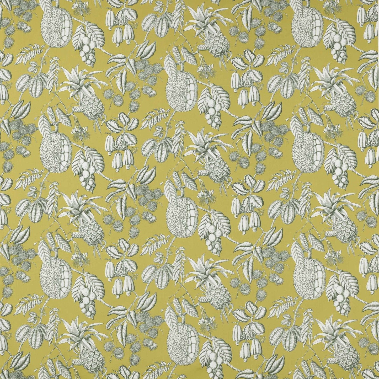 Balangan Fabric - Kiwi - Manuel Canovas - M4077-03 - Premier Wallcovering