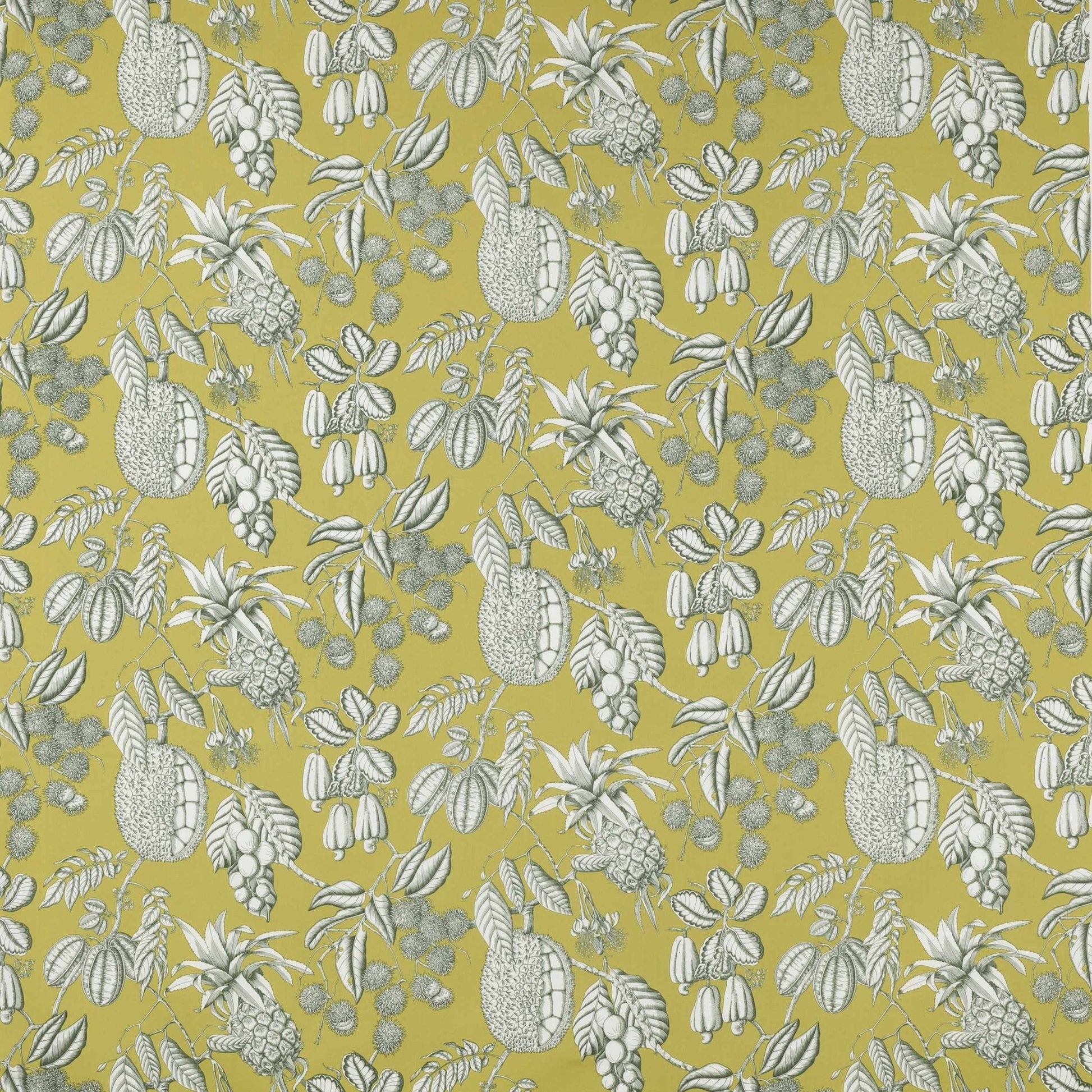 Balangan Fabric - Kiwi - Manuel Canovas - M4077-03 - Premier Wallcovering