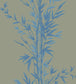 Bamboo Wallpaper - China Blue on Old Olive - 100/5026 - Cole & Son - Premier Wallcovering