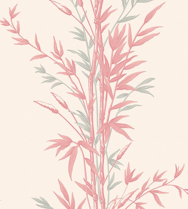 Bamboo Wallpaper - Rose on Parchment - 100/5024 - Cole & Son - Premier Wallcovering