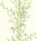 Bamboo Wallpaper - Olive Green on White - 100/5023 - Cole & Son - Premier Wallcovering