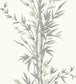 Bamboo Wallpaper - Taupe on White - 100/5025 - Cole & Son - Premier Wallcovering
