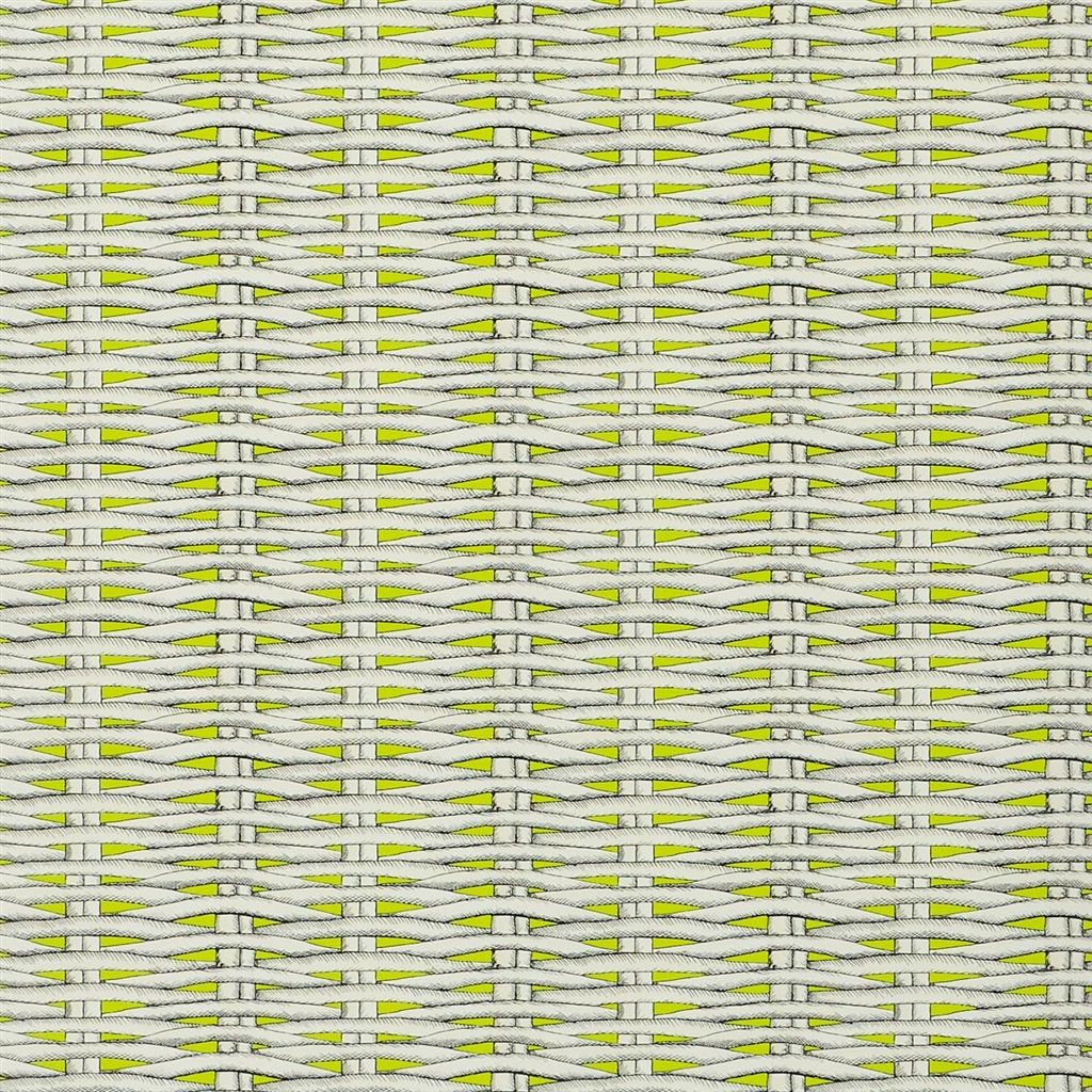 Barbade Wallpaper - Lime - Christian Lacroix - PCL664/05 - Premier Wallcovering