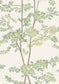 Beech Wallpaper - Document Green - Lewis & Wood - Premier Wallcovering