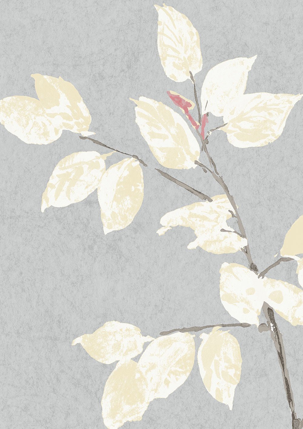 Beech Wallpaper - Dove - Lewis & Wood - Premier Wallcovering