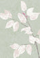 Beech Wallpaper - Jade - Lewis & Wood - Premier Wallcovering