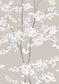 Beech Wallpaper - Linen - Lewis & Wood - Premier Wallcovering