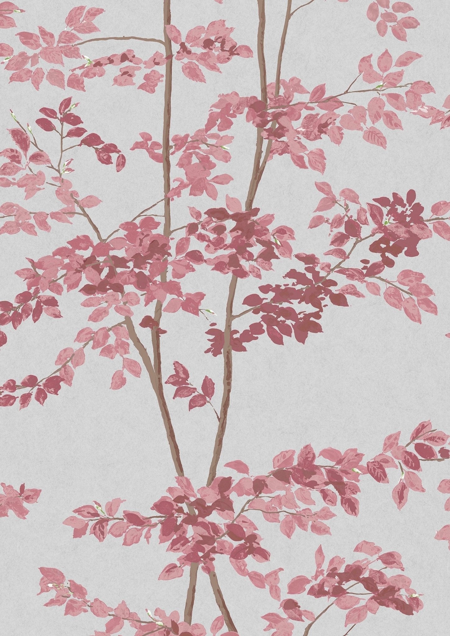Beech Wallpaper - Rose - Lewis & Wood - Premier Wallcovering