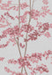 Beech Wallpaper - Rose - Lewis & Wood - Premier Wallcovering