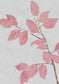 Beech Wallpaper - Rose - Lewis & Wood - Premier Wallcovering