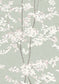 Beech Wallpaper - Jade - Lewis & Wood - Premier Wallcovering