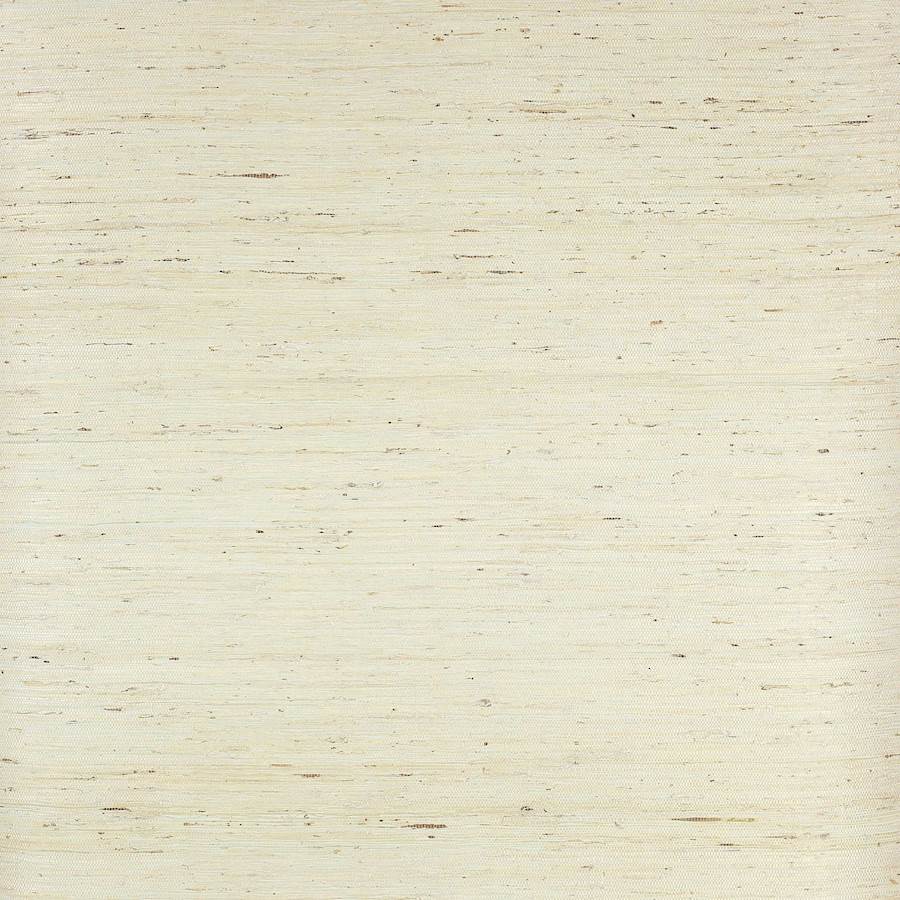 Belize Wallpaper - Pale Aqua - Colefax & Fowler - 20380 - 02 - Premier Wallcovering