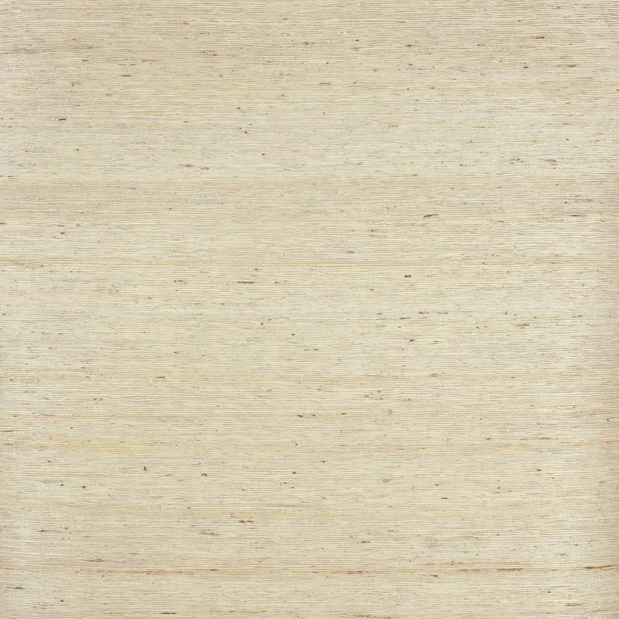 Belize Wallpaper - Taupe - Colefax & Fowler - 20380 - 01 - Premier Wallcovering
