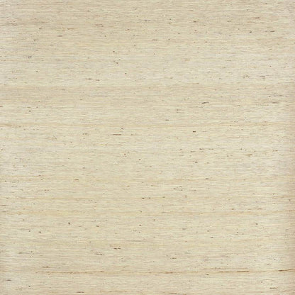 Belize Wallpaper - Taupe - Colefax & Fowler - 20380 - 01 - Premier Wallcovering