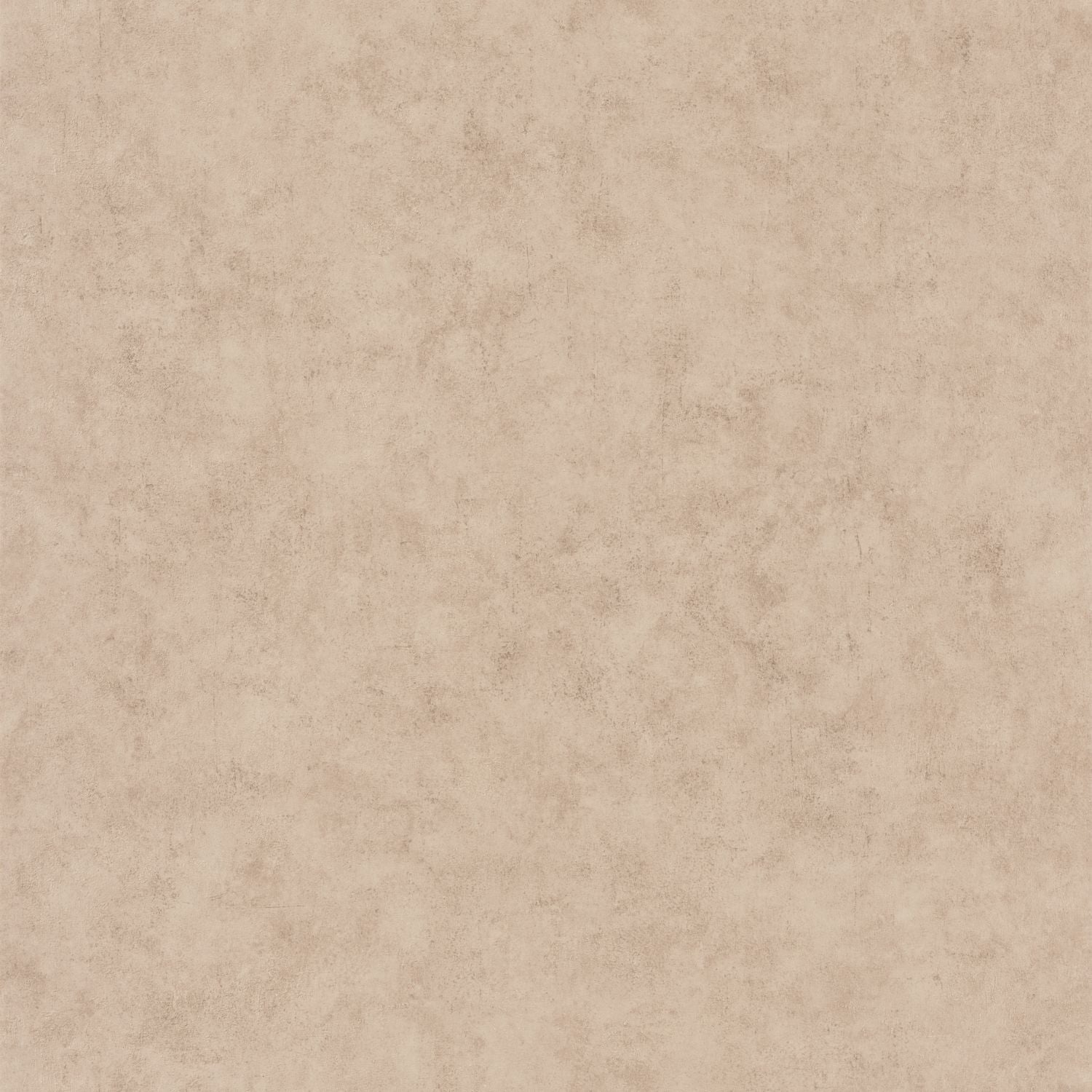 Beton Uni Wallpaper - Moka - Caselio - 101482213