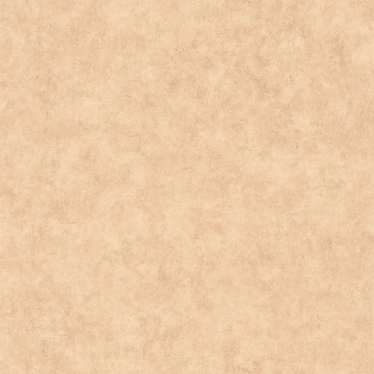 Beton Uni Wallpaper - Beige - Caselio - 101482446