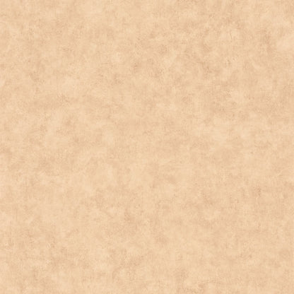 Beton Uni Wallpaper - Beige - Caselio - 101482446