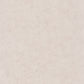 Beton Uni Wallpaper - Taupe Gris Clair - Caselio - 101481693