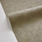 Beton Uni Wallpaper - Kaki - Caselio - 101497509