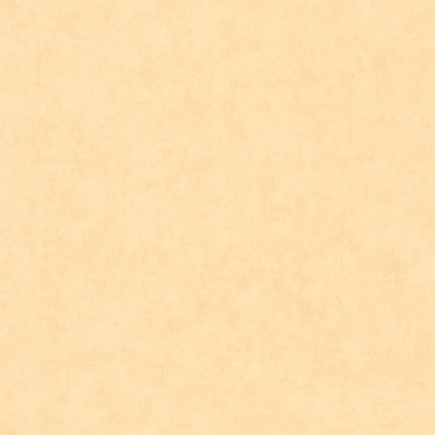 Beton Uni Wallpaper - Peau De Peche - Caselio - 101483100