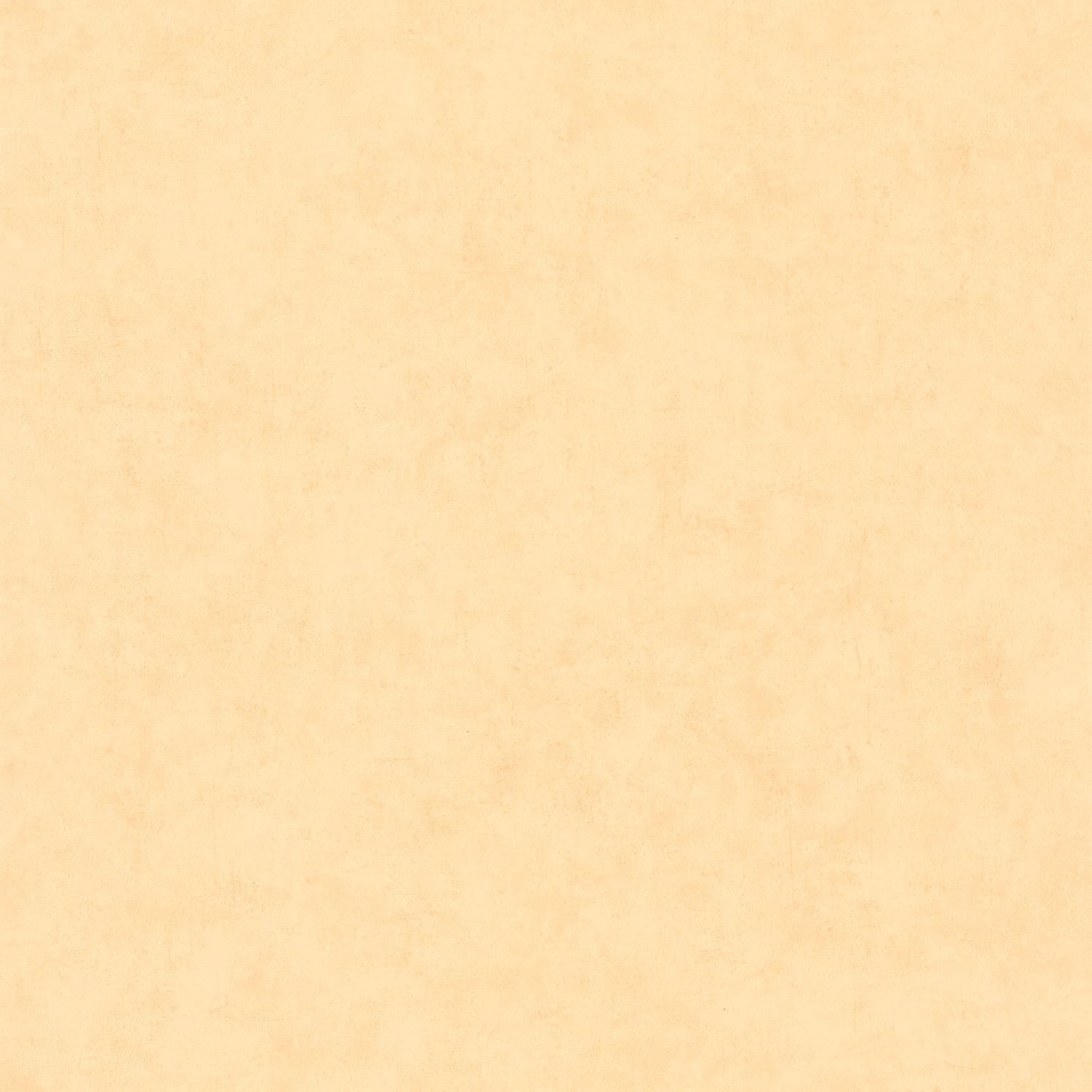 Beton Uni Wallpaper - Peau De Peche - Caselio - 101483100