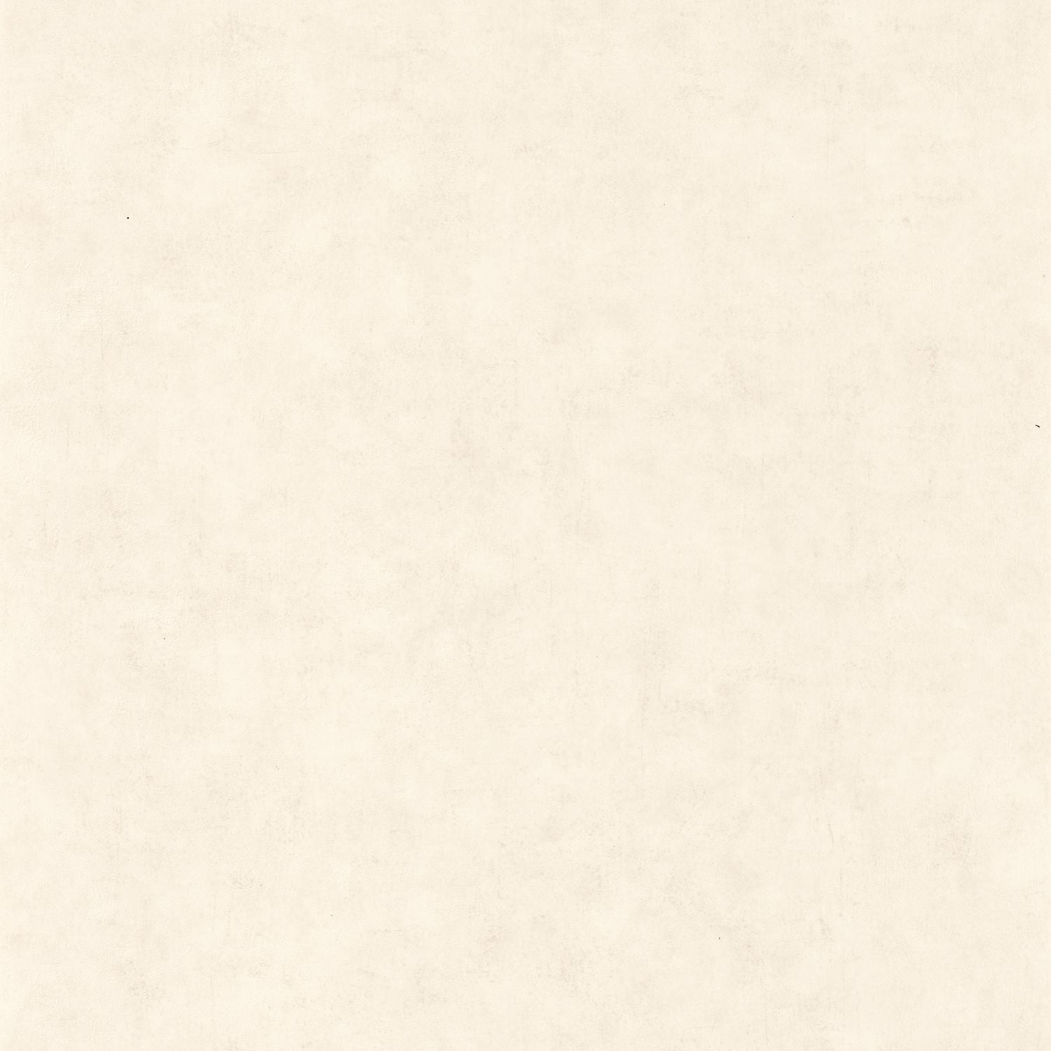 Beton Uni Wallpaper - Blanc Beige - Caselio - 101480010