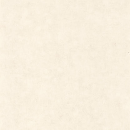 Beton Uni Wallpaper - Blanc Beige - Caselio - 101480010