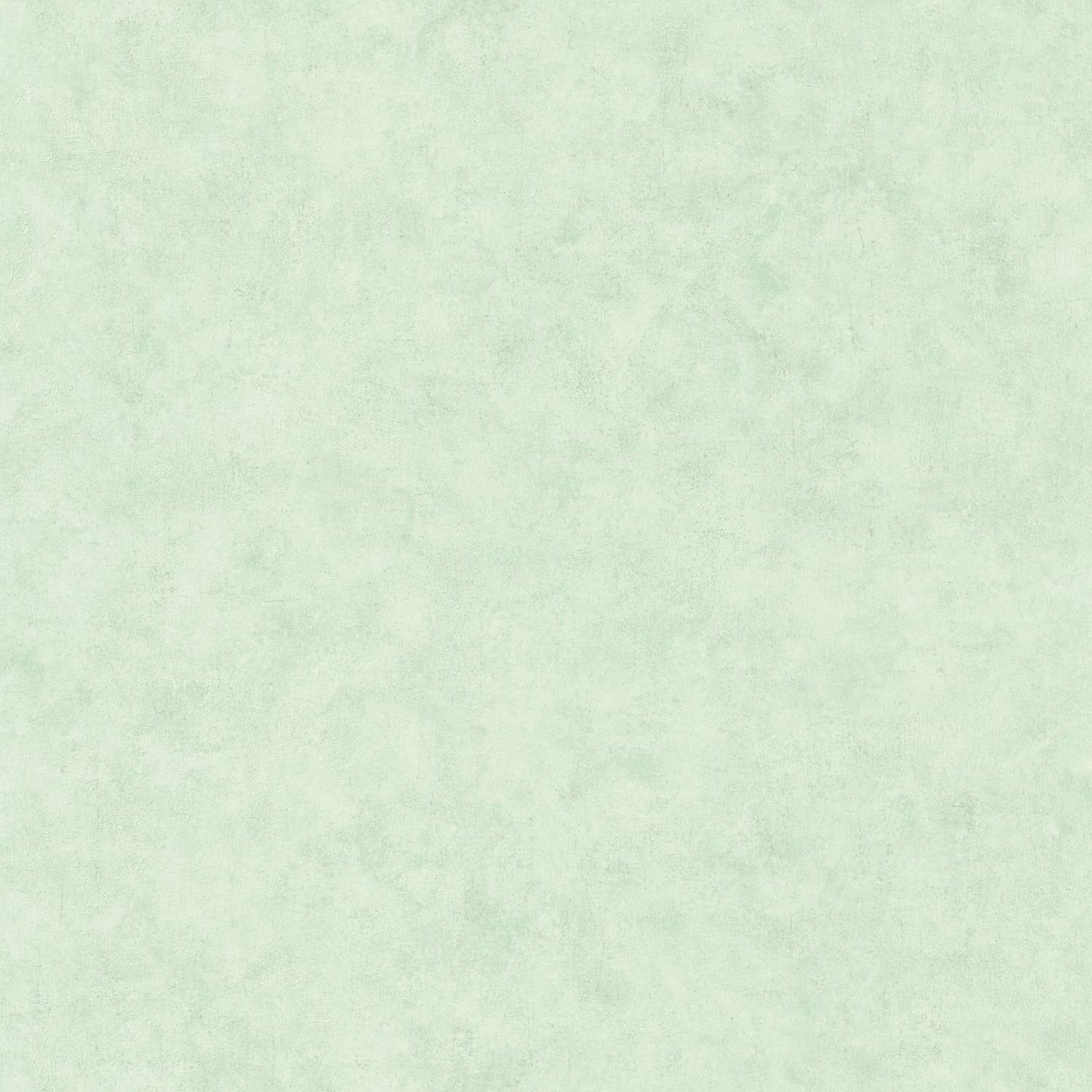 Beton Uni Wallpaper - D Eau Clair - Caselio - 101487400