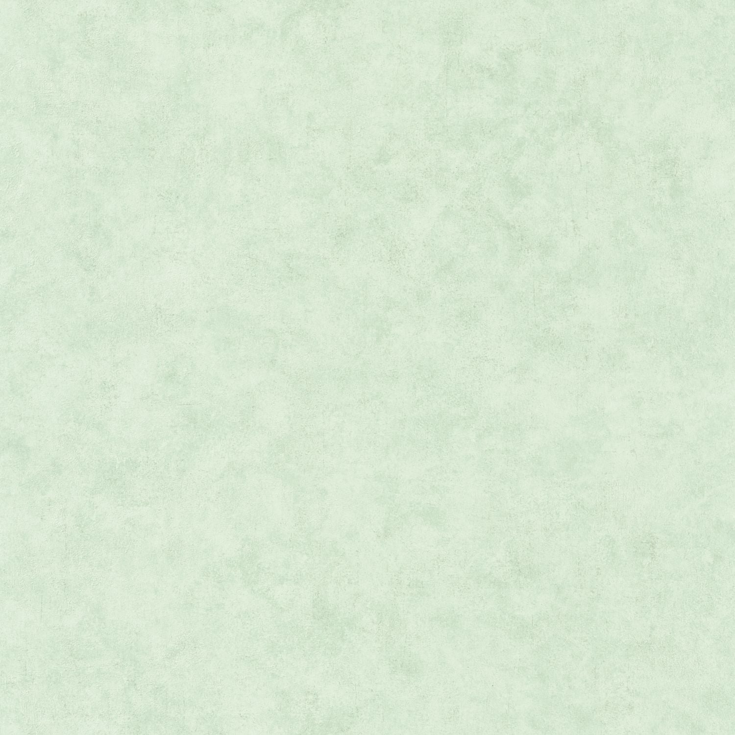 Beton Uni Wallpaper - D Eau Clair - Caselio - 101487400