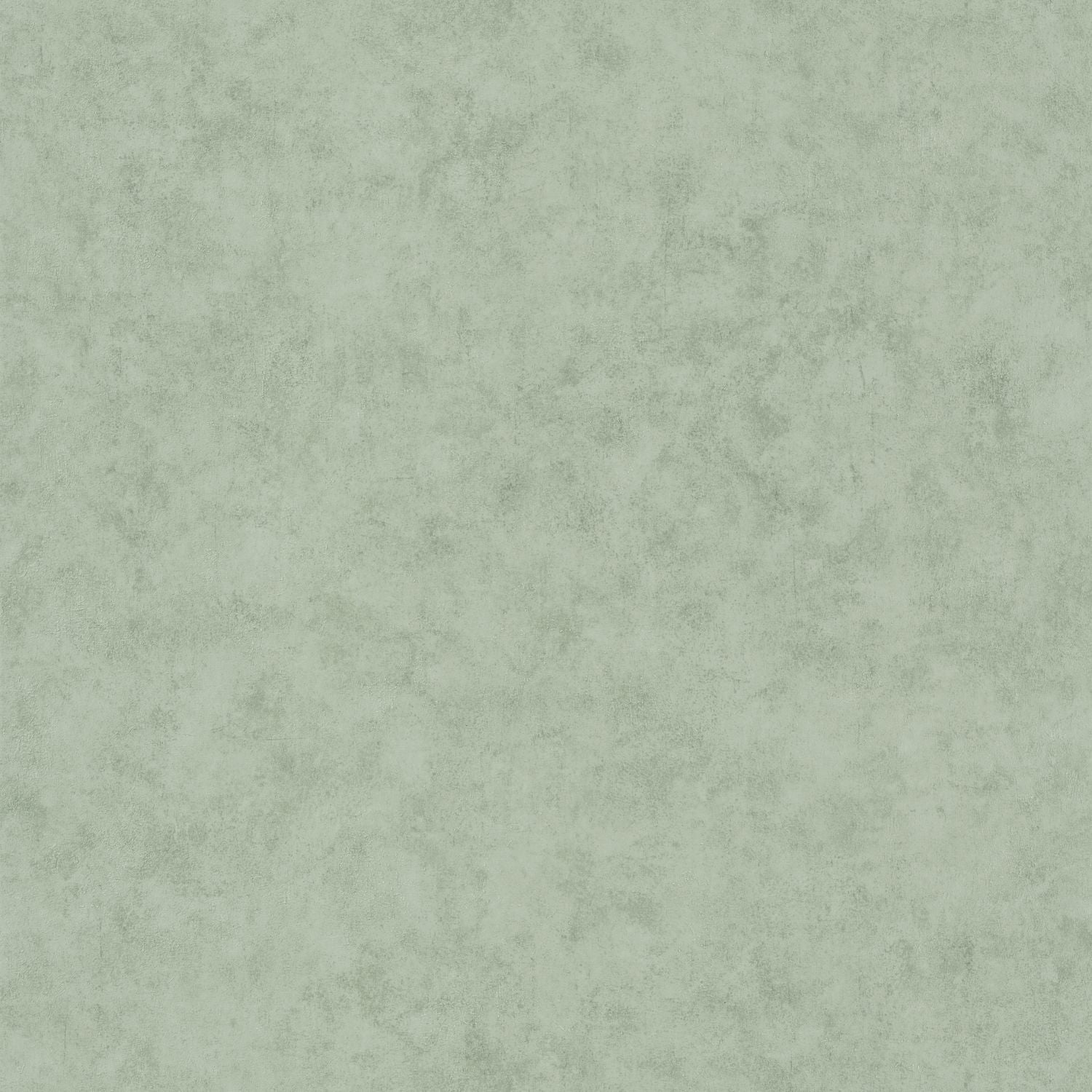 Beton Uni Wallpaper - Eucalyptus - Caselio - 101487332