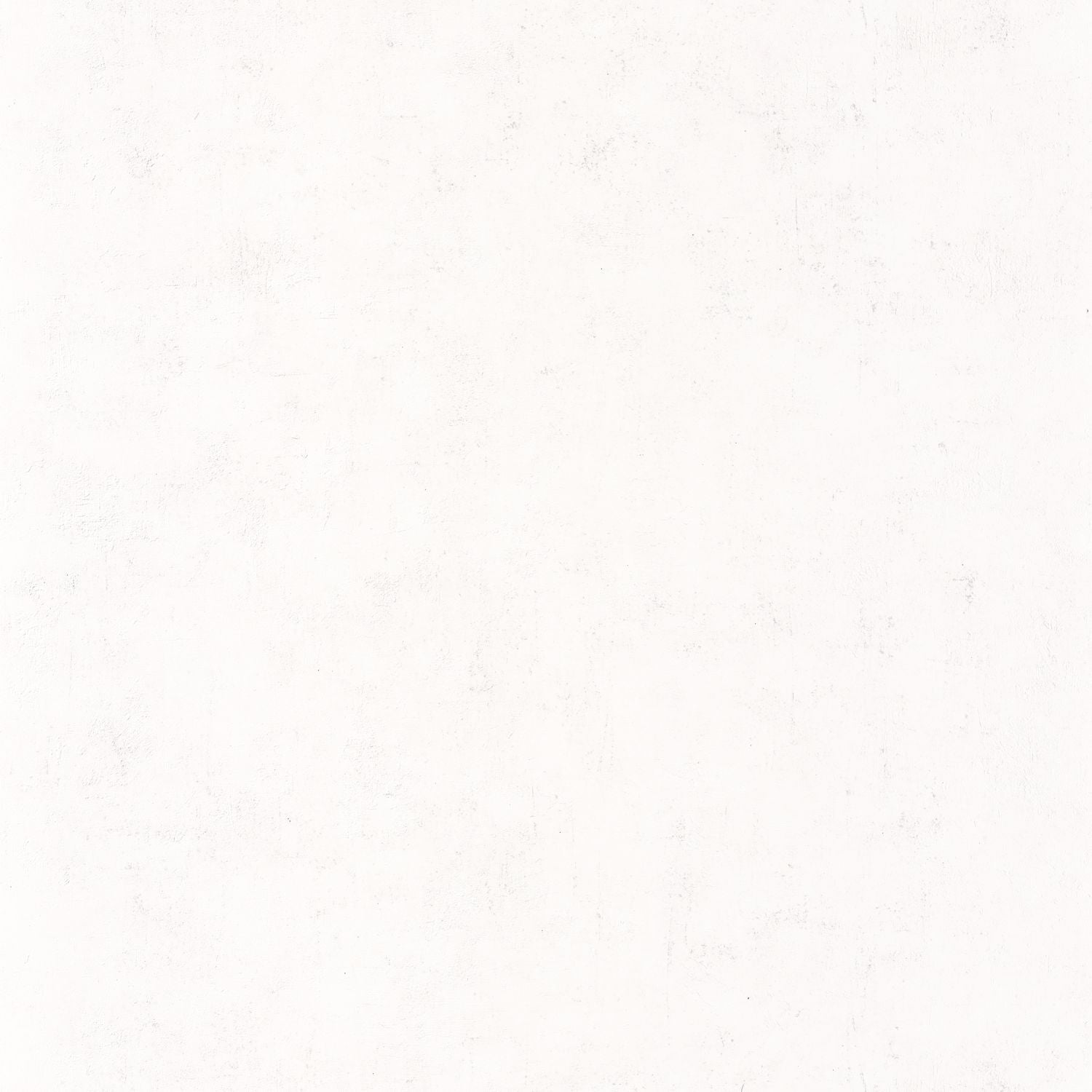 Beton Uni Wallpaper - Blanc - Caselio - 101480000