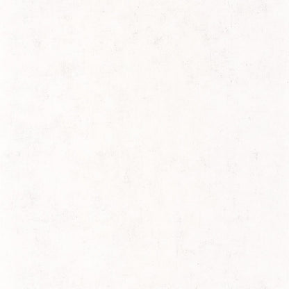 Beton Uni Wallpaper - Blanc - Caselio - 101480000