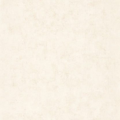Beton Uni Wallpaper - Beige Nacre - Caselio - 101491019