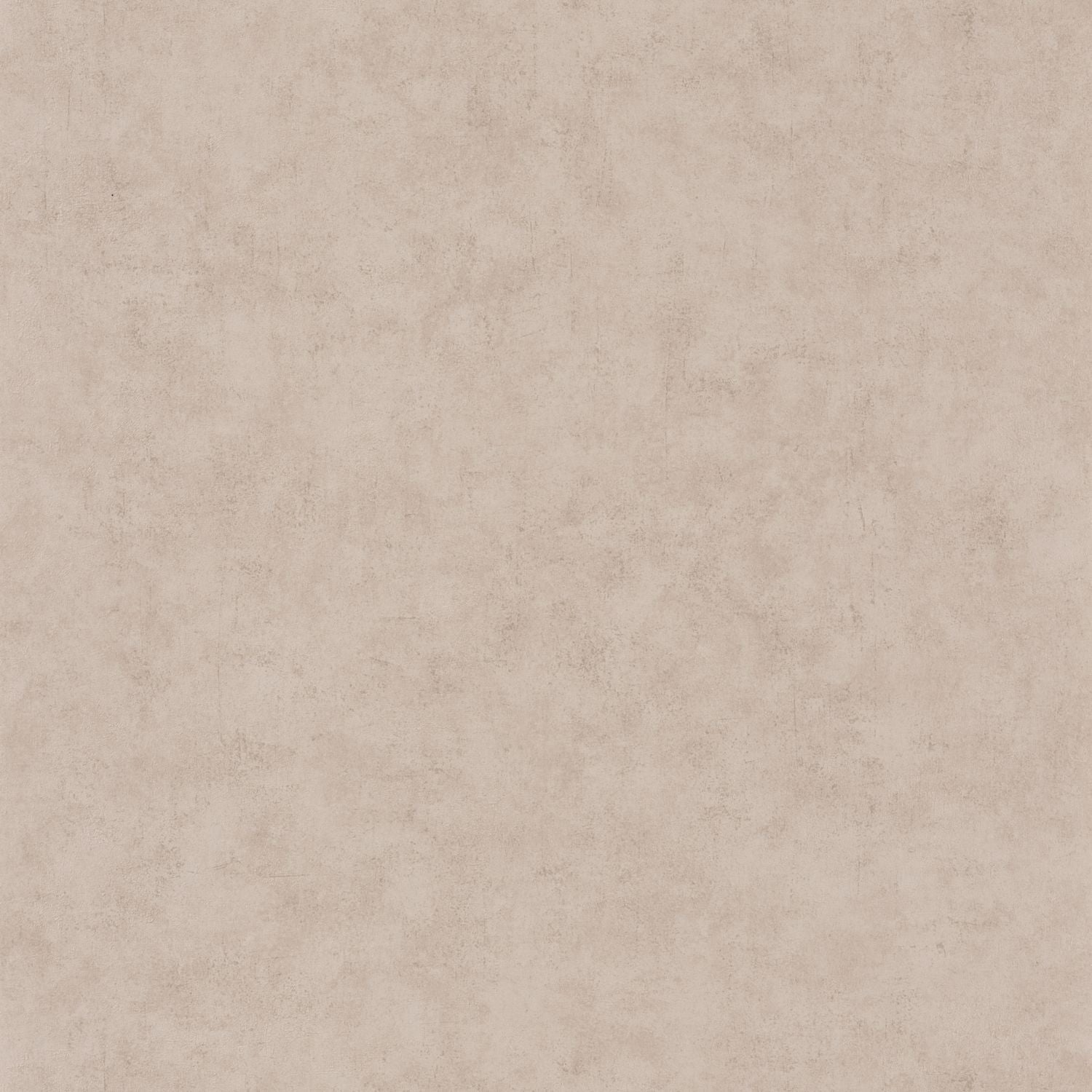 Beton Uni Wallpaper - Taupe Beige Fonce - Caselio - 101481342